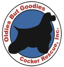 Oldies but goodies cocker spaniel rescue