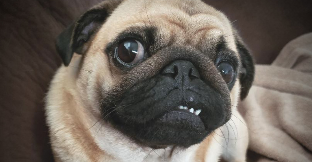 Describe the photo or the page it links to